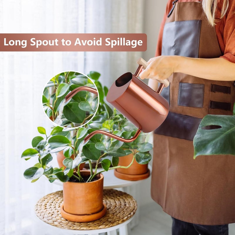 GUKJOB Watering Can Indoor Plants, 35oz Small Stainless Steel Metal Watering Can Modern Decorative Watering Pot with Long Spout for Indoor House Plant Bonsai Garden Flowers (Copper) - Image 2